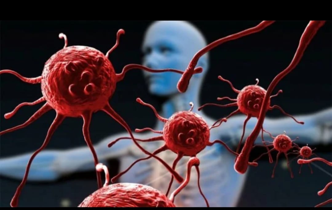 Жыныстық масалар Жыныстық масалар